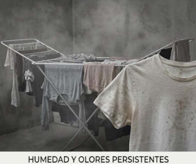 Secador de ropa tipo gancho